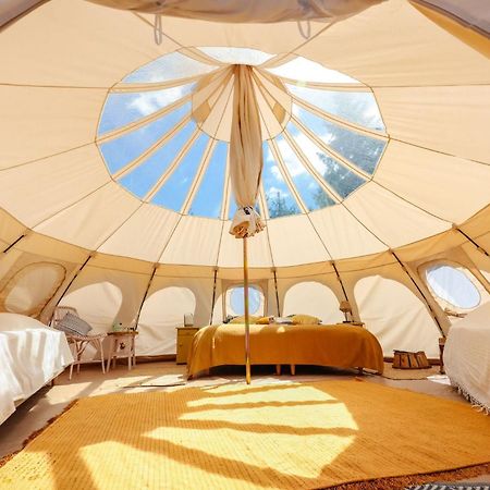 Eco Ceiba Otel Busque Dış mekan fotoğraf