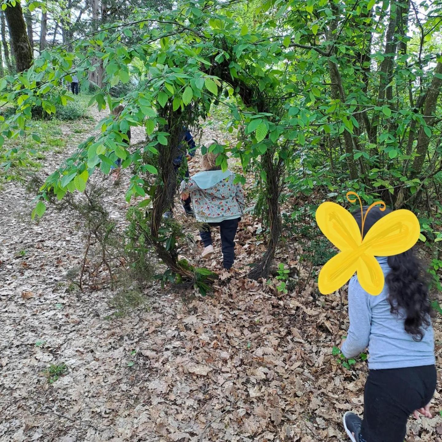 Eco Ceiba Otel Busque Dış mekan fotoğraf