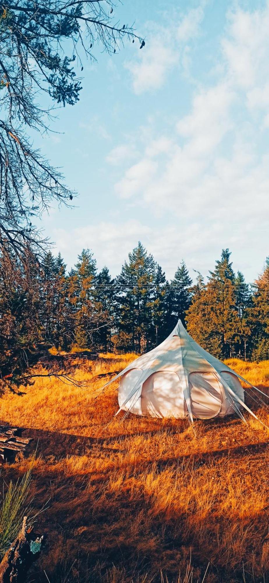 Eco Ceiba Otel Busque Dış mekan fotoğraf