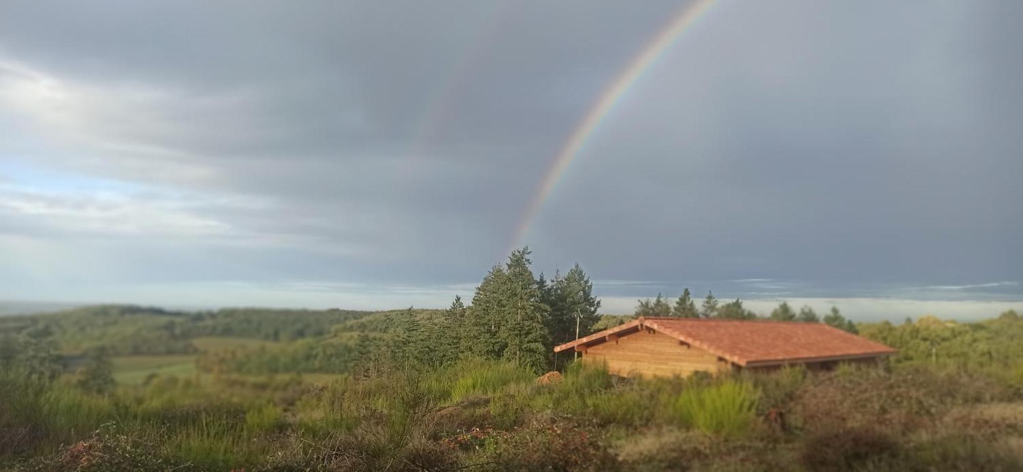 Eco Ceiba Otel Busque Dış mekan fotoğraf