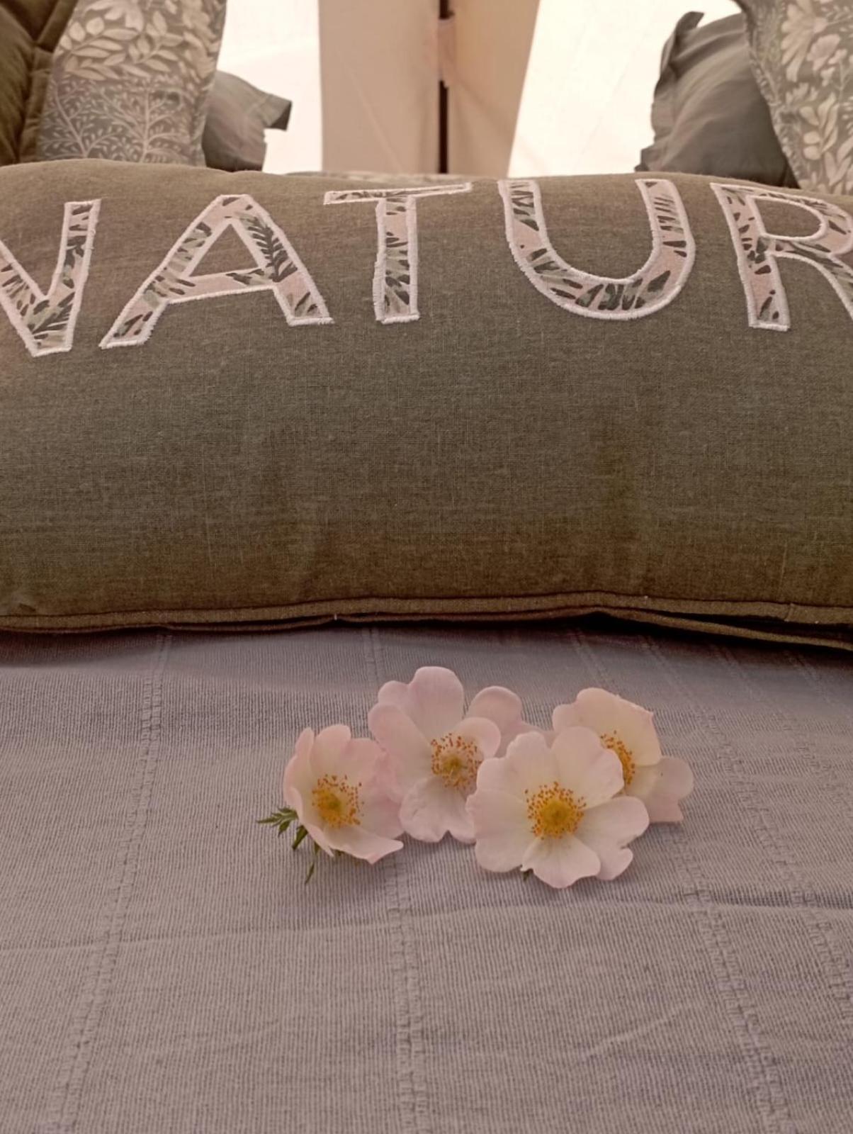 Eco Ceiba Otel Busque Dış mekan fotoğraf