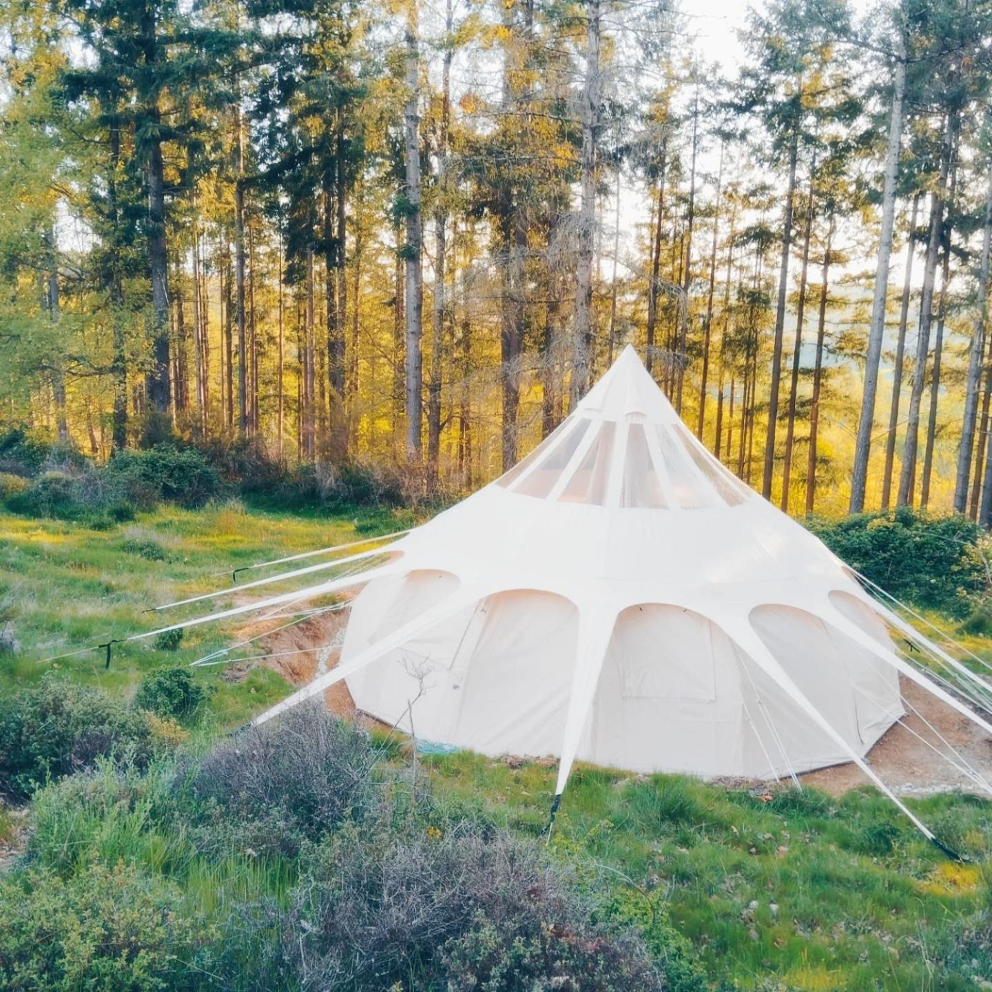 Eco Ceiba Otel Busque Dış mekan fotoğraf