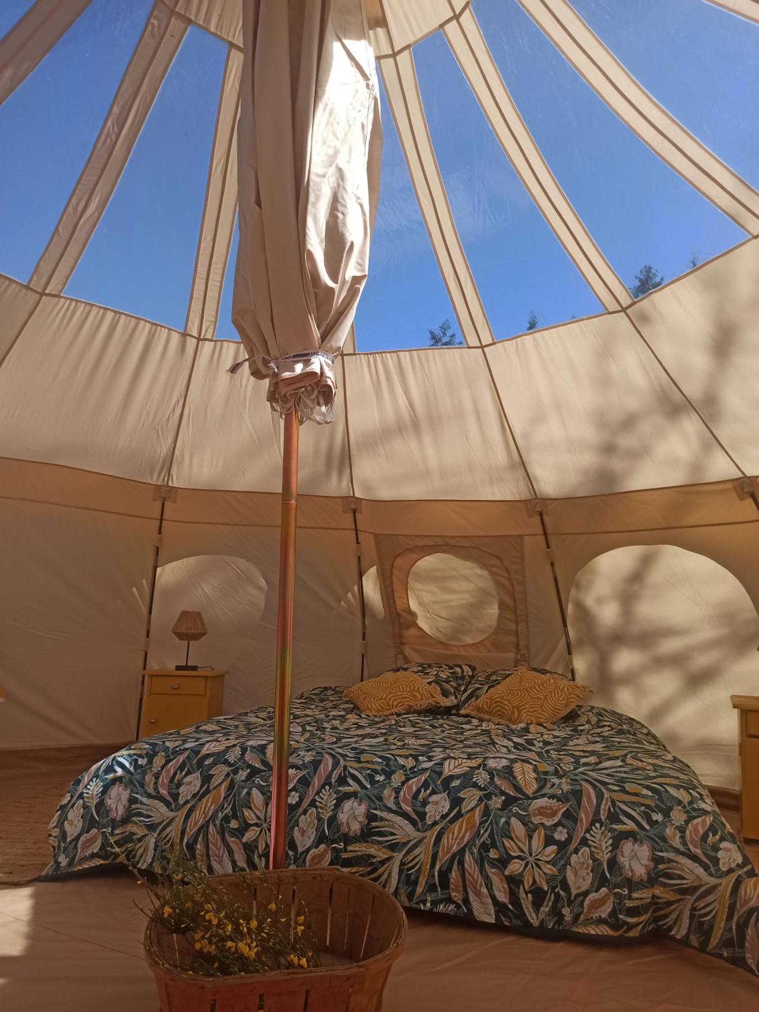 Eco Ceiba Otel Busque Dış mekan fotoğraf