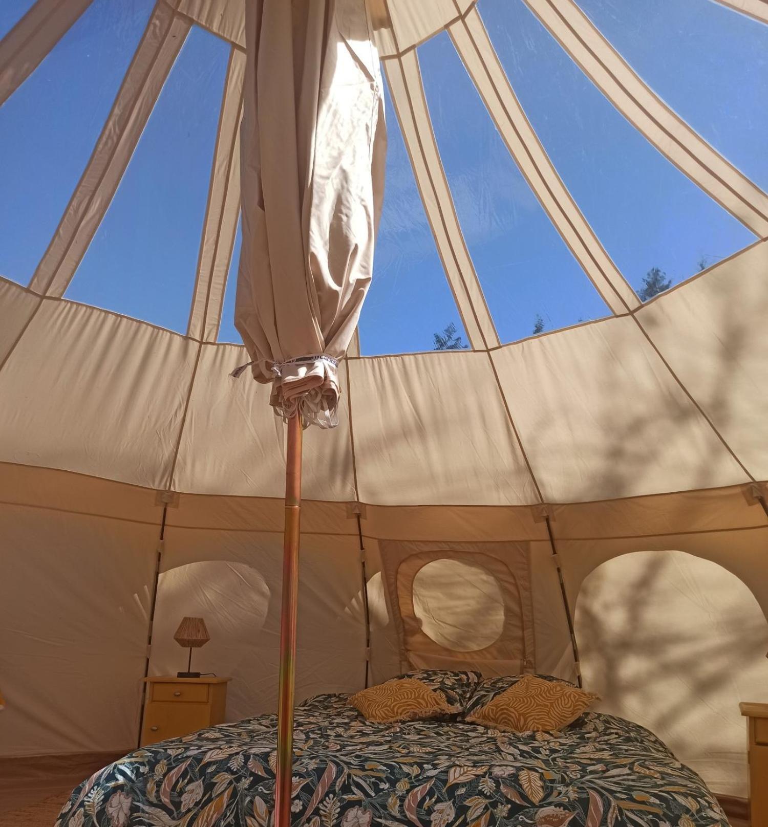 Eco Ceiba Otel Busque Dış mekan fotoğraf