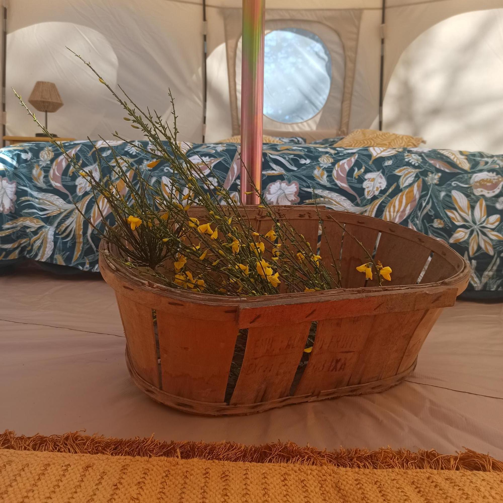 Eco Ceiba Otel Busque Dış mekan fotoğraf
